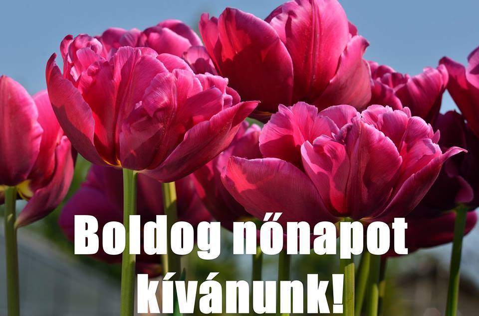 Boldog Nőnapot kívánunk!